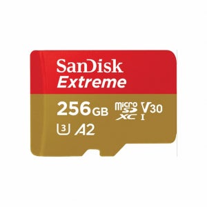 Extreme microSDXC 카드 256GB 160MB s Class10