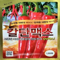 칼탄맥스 고추씨앗 고추종자 고추품종 1200립