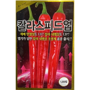 고추 씨앗 칼라스피드업 1200립 칼라내병계 조생종품종 하우스 추천