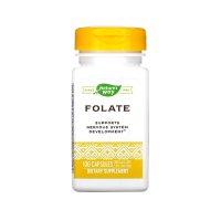 네이처스웨이 엽산 Folate 800mcg 100캡슐