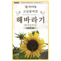 다-해바라기/황색갈색심 50립 해바라기씨 해바라기종자 해바라기씨앗