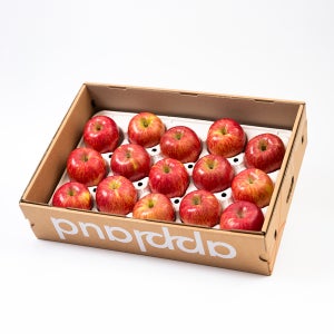 사과 어플러드 고당도 속리산 햇사과 (부사 후지 시나노골드 이지플 3KG, 5KG)