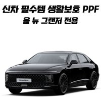 현대 올 뉴 그랜저 PPF필름 diy 생활보호패키지 풀 패키지