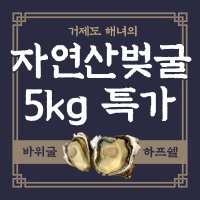 벚굴 벗굴 자연산 거제도 바위굴 하프쉘 석화 5kg