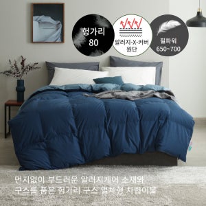 헝가리구스80 알러지케어 차렵이불 네이비 퀸