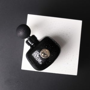 비비엔느 니치 향수 선물용차량방향제 세트