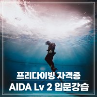 [더프리다이브]프리다이빙 강습 AIDA Lv 2 입문레벨 서울,성남, 수원, 송도