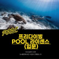 프리다이빙 베이직(POOL)자격증 (입문) 서울 경기 일산 수원 성남 송도 용인교육