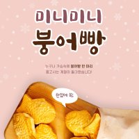 FULL세트 명동붕어빵 + 슈크림 3kg+뿌리통팥앙금 5kg (명동붕어,명동반죽,미니붕어빵,찰붕어빵)