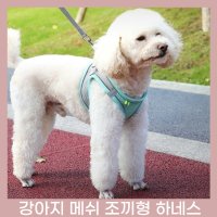 강아지하네스 메쉬 가슴줄 애견 조끼형 하네스