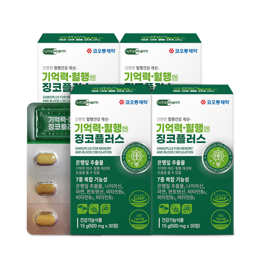 징코플러스 은행잎추출물 비타민B1 B2 B3 <b>B5</b> B6 아연 GINKGO 4통