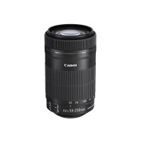 Canon 캐논 카메라 렌즈 망원 줌 렌즈 EF-S55-250mm F4-5.6 IS STM APS-C