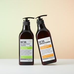 헤솔몰 샴푸500g 2종 설맞이 선물세트 10Set