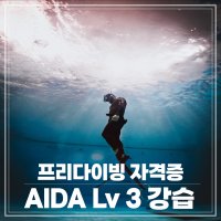 [더프리다이브]프리다이빙 강습 AIDA Lv 3강습 서울,성남, 수원, 송도