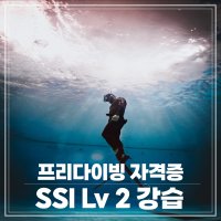 [더프리다이브]프리다이빙 강습 SSI Lv 2 강습 서울,성남, 수원, 송도