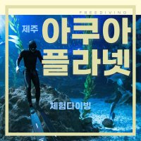 진주프다 아쿠아플라넷(제주) 체험 프리다이빙