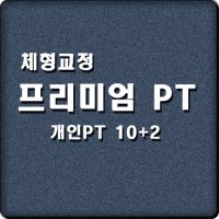 체형교정 프리미엄 개인 PT (10회+2회) 헬스장