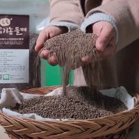 오메가3 유기농들깨500g