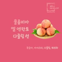 콜롬비아 엘 엔칸토 다즐링 선 원두 200g