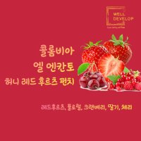 콜롬비아 엘 엔칸토 허니 레드 후르츠 펀치 200g