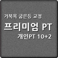 재활PT 거북목교정 굽은등교정 굽은등펴기 개인 PT (10회+2회) 헬스장