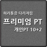 재활PT 체형교정 허리통증완화방법 다리저림 개인 PT (10회+2회) 헬스장