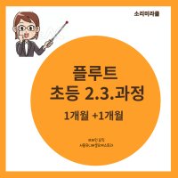 초등 2.3학년 플루트 플룻 플륫 레슨 악기배우기 소리미라클 브레인 뮤직 과정