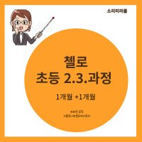 초등 2.3학년 악기배우기 첼로 온라인 또는 서초동 레슨 브레인 뮤직 과정 소리미라클 서울유니버셜오케스트라