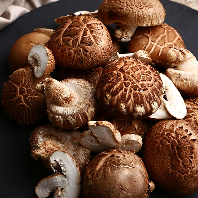 장흥 유기농 참나무 원목 배지 생표고버섯 500g 1kg 특상 가정용 못난이 장흥표고버섯