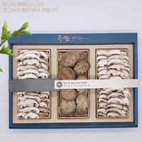 추석명절 유기농 표고버섯 웰빙 선물세트 총270g(동고110g 표고채80gX2)