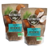 Destination 데스티네이션 코코넛 플라워 슈가 설탕 500g 2팩