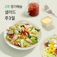 [포켓샐러드] 2주 주 3팩씩 총 6팩 샐러드 정기배송 정기구독 다이어트 식단 배달 도시락