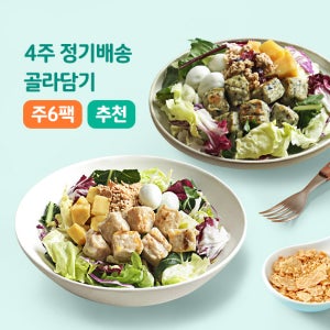 포켓샐러드 골라담는 4주 정기배송 주6팩씩 도시락 식단 구독 배달 다이어트식단