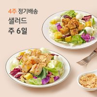 [포켓샐러드] 4주 주 6팩씩 총 24팩 샐러드 정기배송 정기구독 다이어트 식단 배달 도시락