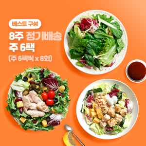 포켓샐러드 8주 정기배송 주6팩씩 배달 도시락 구독 다이어트 그린 샐러드 식단 외 11종