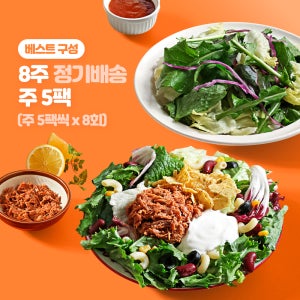 포켓샐러드 8주 정기배송 주5팩씩 배달 도시락 구독 다이어트 그린 샐러드 식단 외 11종