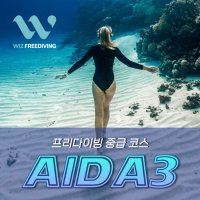 프리다이빙 강습 AIDA3 자격증 레벨3 중급 교육 서울 경기 수도권