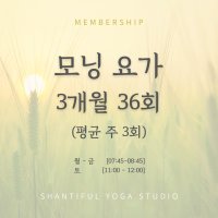 [모닝요가] 3개월 평균 주3회 (총 12주 / 36회 제공)