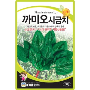 세계종묘 까미오시금치 씨앗 30g 노균병 저항성품종 시금치씨 종자