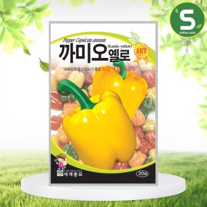 까미오옐로우 20립 파프리카씨앗 대과종 육질 좋음