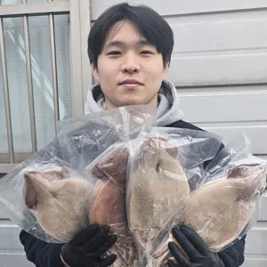 포항 구룡포 반건조오징어 건오징어 피데기 10마리 중 950g