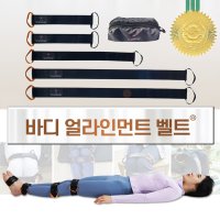 바디얼라인먼트벨트 안장다리 골반 체형 자세 교정벨트