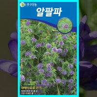 천연 잔디 씨앗 법면녹화보호 사방공사 산소효도 알팔파 씨 1Kg