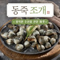 [산지직송] 고창 자연산 동죽 물총조개 (1kg)