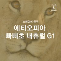 드립백 커피 스페셜티 에티오피아 빠삐초 내츄럴 G1 12g 세트 선물용 커피 분쇄 원두