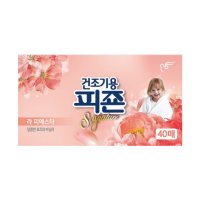 피죤 건조기시트 드라이시트 40매 라피에스타