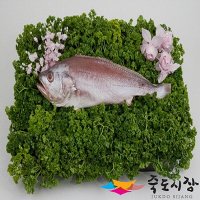 죽도시장 침조기(제수용)1미(35~40cm내외)