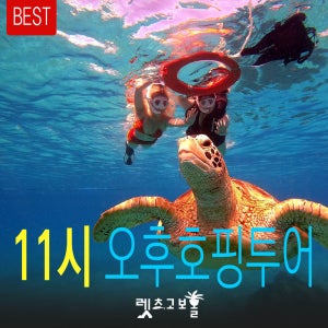 [렛츠고보홀 오후호핑투어] 11시 발리카삭 거북이 열대어+각앙추가+버진아일랜드 팀별전담직원