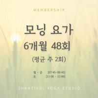 [모닝요가] 6개월 평균 주2회 (총12주 / 48회 제공)