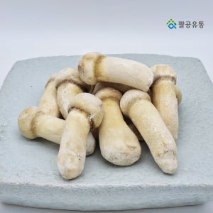 자연산 송이버섯 냉동송이버섯 1kg